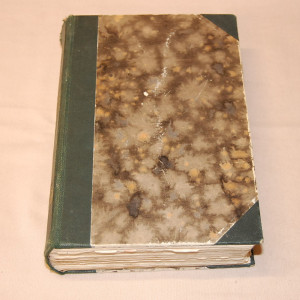 Aleksis Kivi Seitsemän veljestä